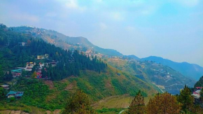 The Pine Of Golden Home Stay